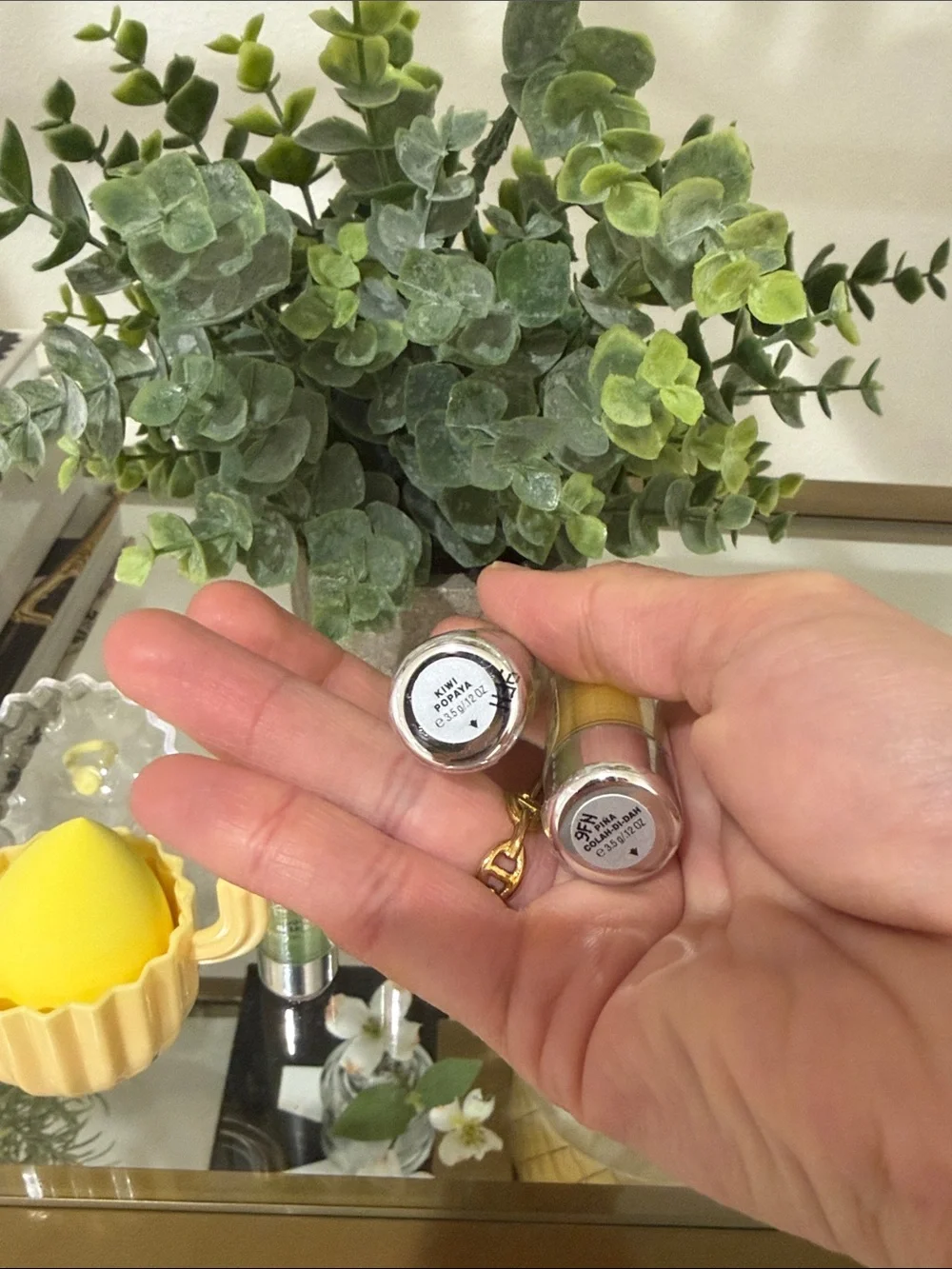 Cactus Make Up Sponge and Lip Balm Set